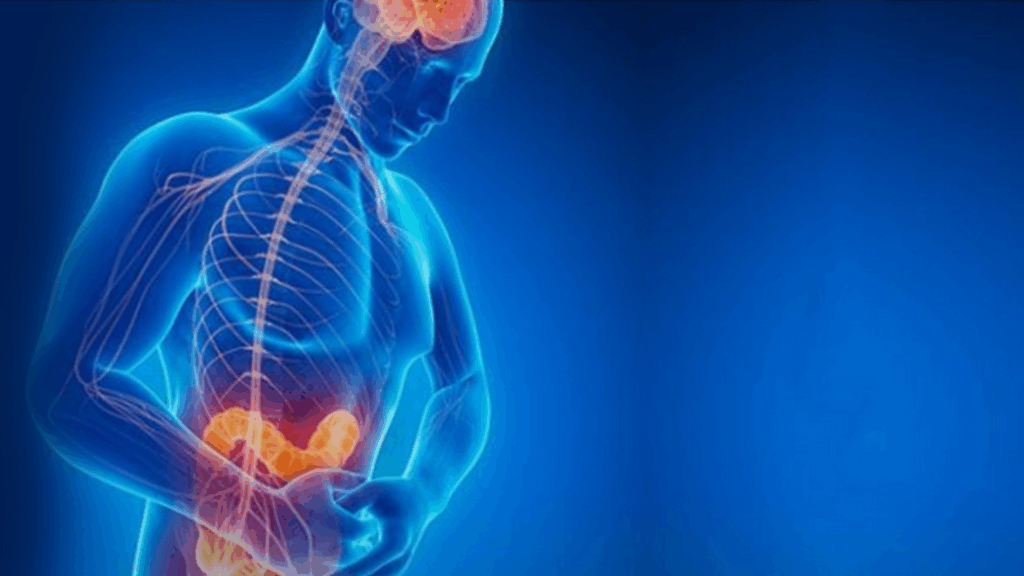 Ansiedade e intestino irritável: a conexão cérebro-intestino que é muito estudada