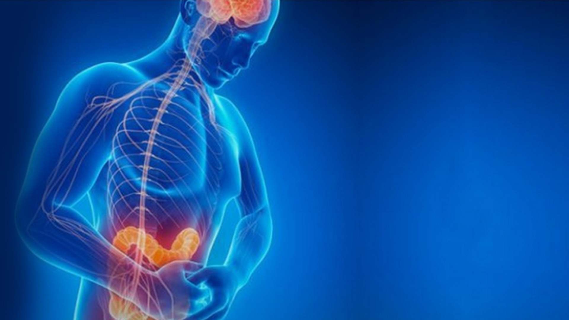 Ansiedade e intestino irritável: a conexão cérebro-intestino que é muito estudada